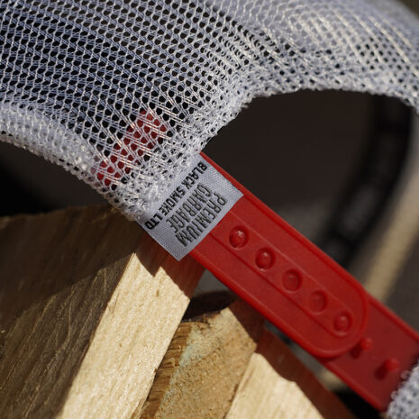 _BSR0619 kopio _BSR0619 kopio